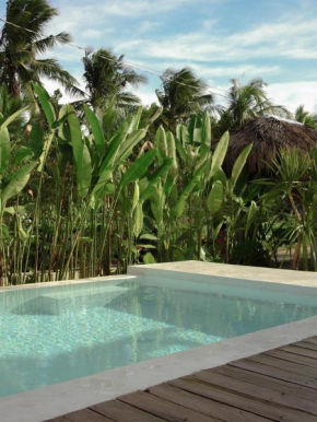 Single Fin Siargao
